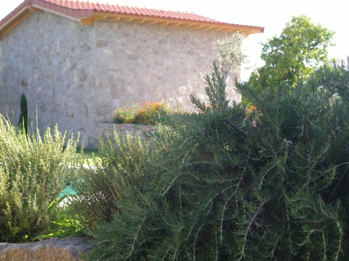 Eido Da Portela - Casa De Campo Carregadouro エクステリア 写真